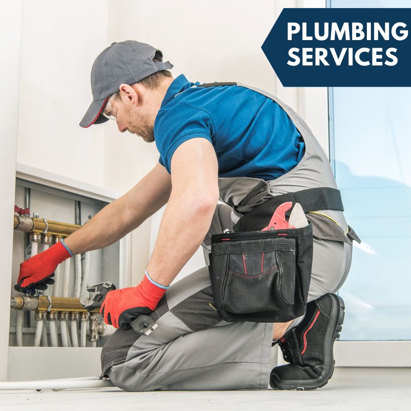 Saunemin Plumbing Company
